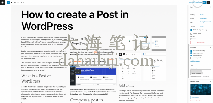 WordPress文章示例