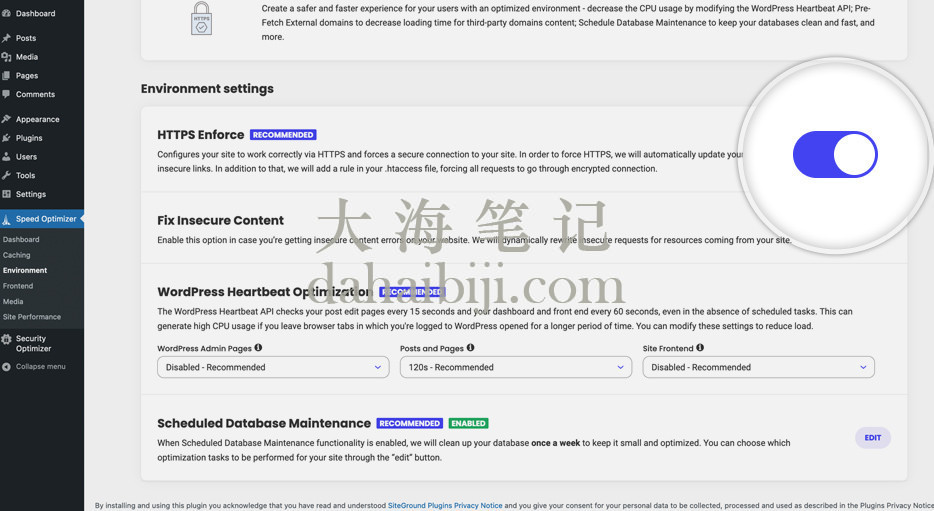 WordPress中HTTPS强制启用的截图