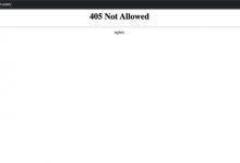 WordPress出现405 Not Allowed响应码是什么原因？-大海笔记